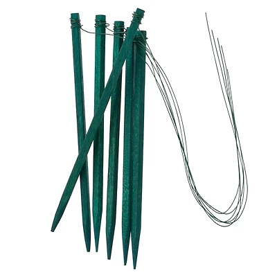 Wired Wood Picks by Ashland™