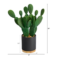 10'' Cactus Succulent Artificial Plant in Planter