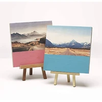 Mod Podge® Foam Brush Set