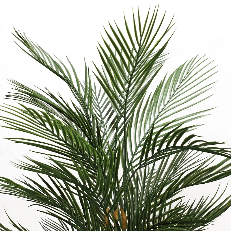 5.25ft. Potted Areca Palm Tree