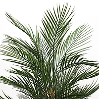 5.25ft. Potted Areca Palm Tree