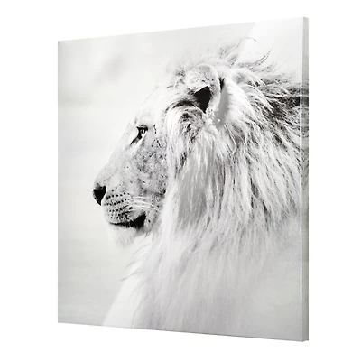 Regal Lion Black & White Glossy Wall Art