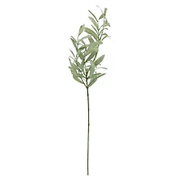 Green Olive Branch Stem by Ashland®