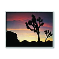 Stupell Industries Desert Tree Sunset Silhouette Photograph Gray Framed Wall Art