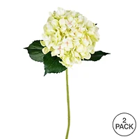 2 Pack: Light Green Hydrangea Spray
