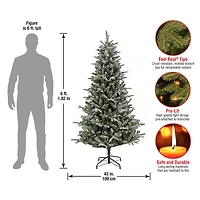 6ft. Pre-Lit Snowy Libby Fir Artificial Christmas Tree, Warm White LED Lights