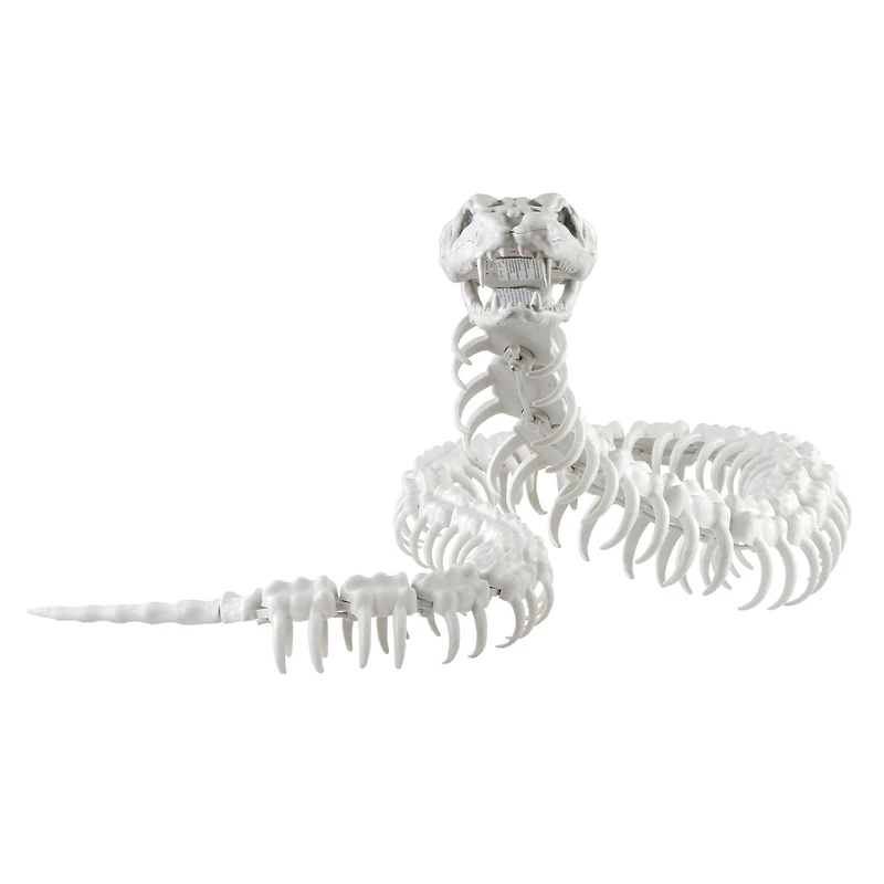 4.7ft. Sound Activated Snake Skeleton with Red Light-Up Eyes by Ashland®