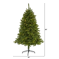 5ft. Pre-Lit Sierra Spruce Artificial Christmas Tree, Clear LED Lights