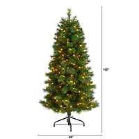 5ft. Pre-Lit West Virginia Mountain Pine Artificial Christmas Tree, Clear Lights