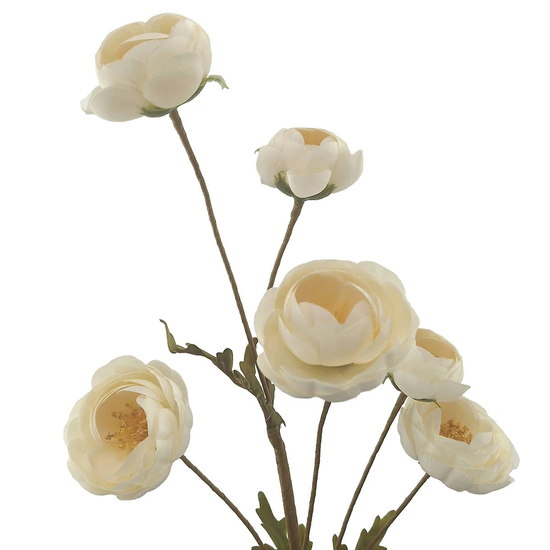 32" Ranunculus Stem by Ashland