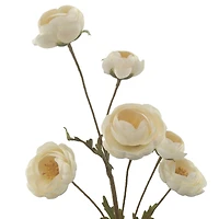 32" Ranunculus Stem by Ashland
