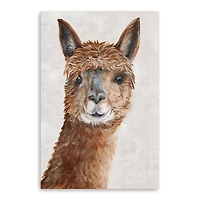 Lumaprints Suri Alpaca II Canvas Giclée