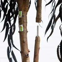 4ft. Artificial Halloween Black Willow Tree