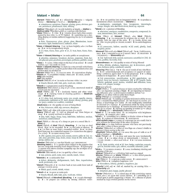 Federal Street Press Webster's All-in-One Dictionary & Thesaurus, Third Edition