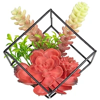 5.5" Succulent Arrangement in Black Metal Wire Frame