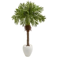 5ft. Robellini Palm Tree in White Planter