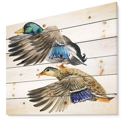 Designart - Colored Duck isolated on white background