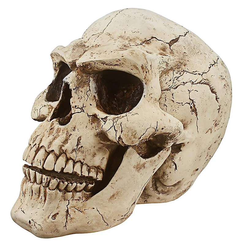 Design Toscano Sinister Simon Giant Skull Sculpture