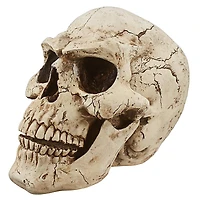 Design Toscano Sinister Simon Giant Skull Sculpture
