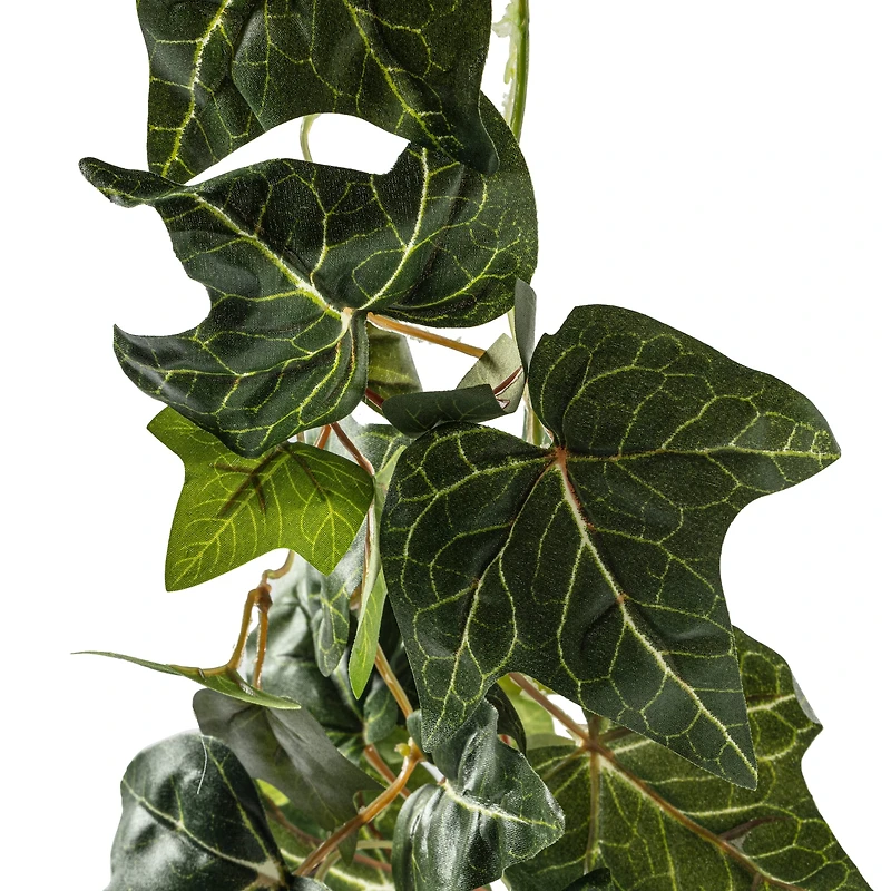 6ft. Green English Ivy Garland by Ashland®