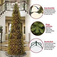 14 ft. Pre-Lit Kingswood™ Fir Pencil Artificial Christmas Tree, Clear Lights