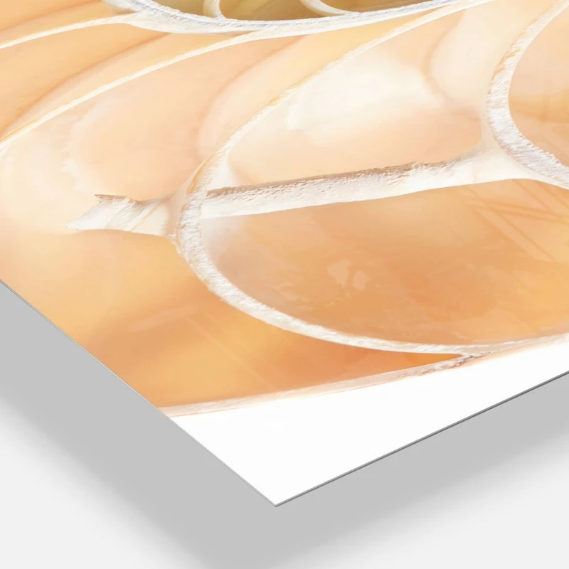 Designart Brown Nautilus Shell Pattern Wall Clock