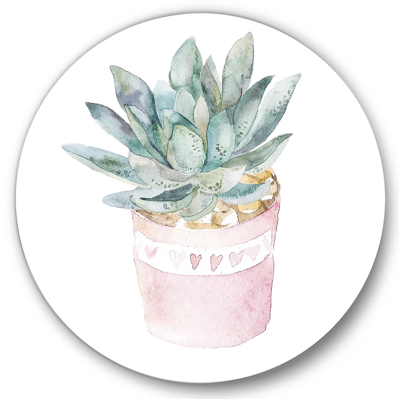 Designart - Cactus and Succulent House Plants II