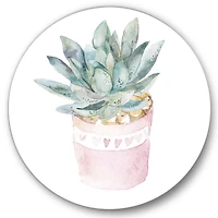 Designart - Cactus and Succulent House Plants II
