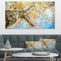 Designart - Under Branch of Yellow Cherry Tree