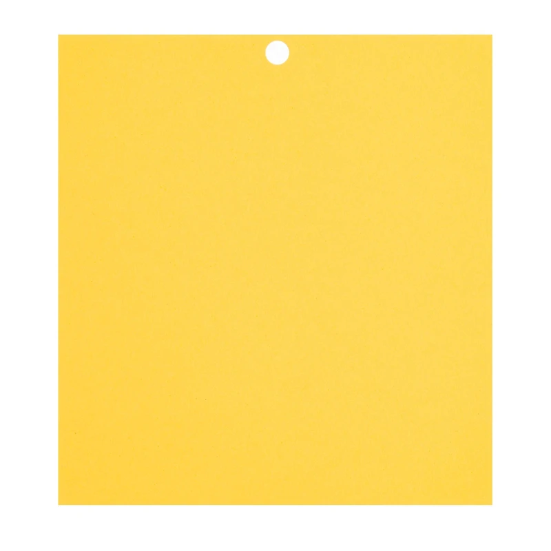 Citrus 6" x 6.5" Cardstock Paper by Recollections™, 100 Sheets
