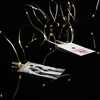 45ct. Warm White LED Iridescent Clip Lights by Ashland®