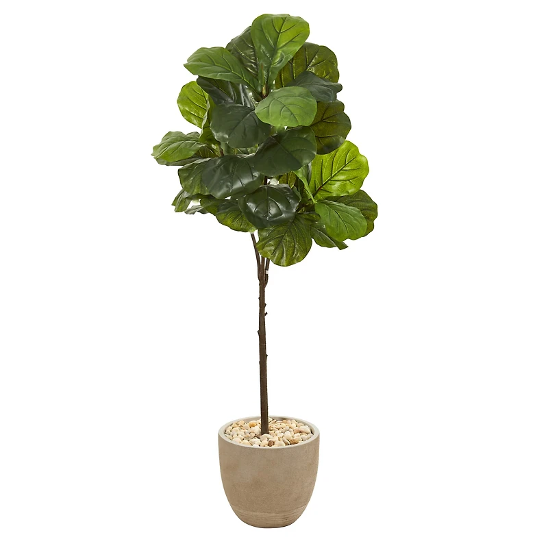 4.5ft. Fiddle Leaf Tree in Sandstone Planter