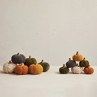 Hello Honey® 3.5" Bouclé Velvet Pumpkin Holiday Décor Set with Wood Stems