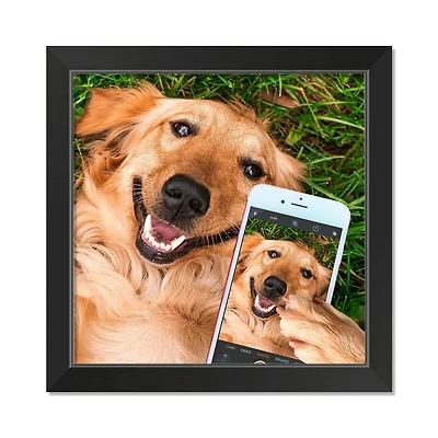 Selfie Golden 1 16" x 16" Black Framed Print Under Plexiglass