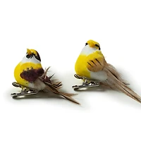 24 Packs: 2 ct. (48 total) Mushroom Birds by Ashland™