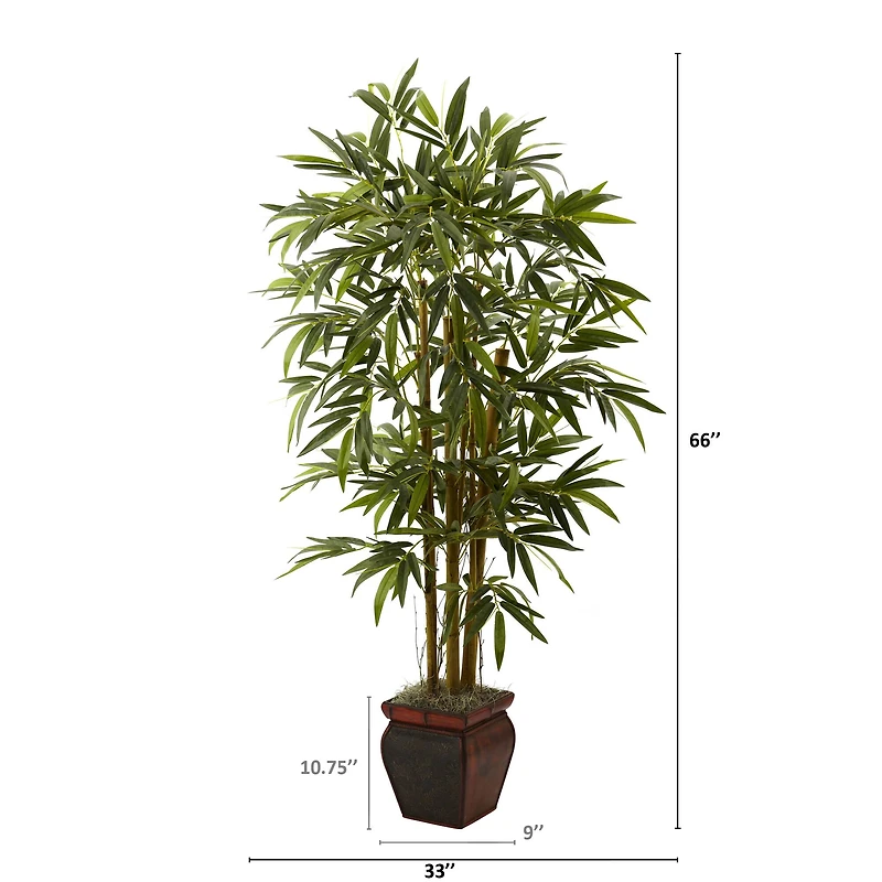 5.5ft. Bamboo Tree with Brown Planter