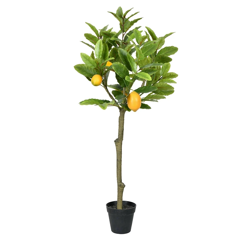 3ft. Potted Lemon Tree