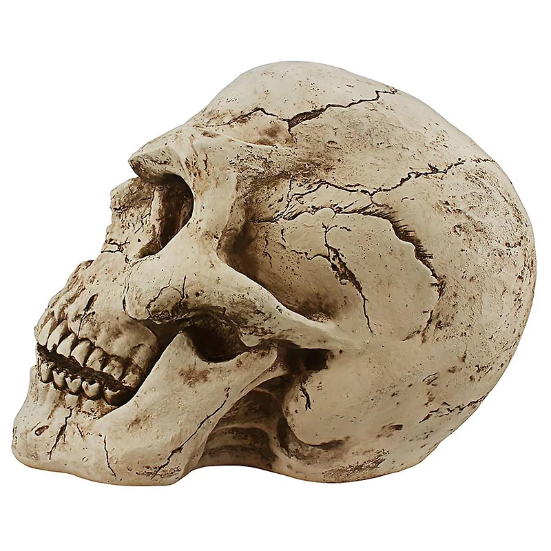 Design Toscano Sinister Simon Giant Skull Sculpture