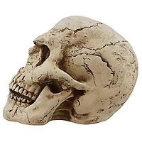 Design Toscano Sinister Simon Giant Skull Sculpture