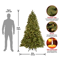 6.5ft. Pre-Lit Downswept Douglas® Fir Tree, Clear Lights