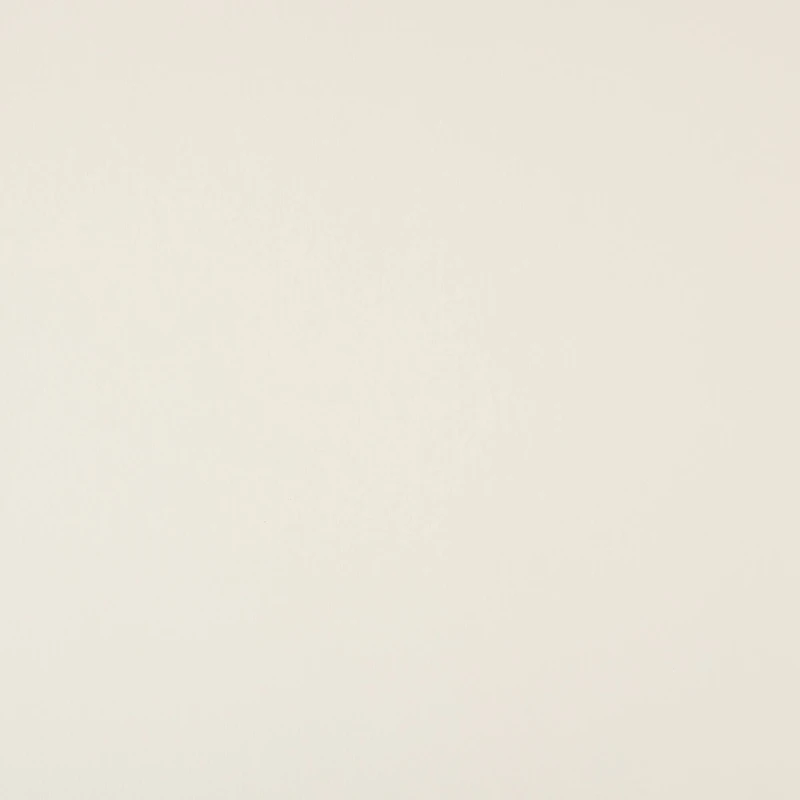 Shimmer Silver & Champagne 8.5" x 11" Cardstock Paper by Recollections®, 100 Sheets