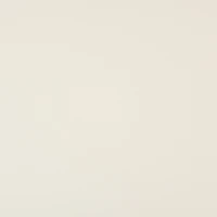 Shimmer Silver & Champagne 8.5" x 11" Cardstock Paper by Recollections®, 100 Sheets