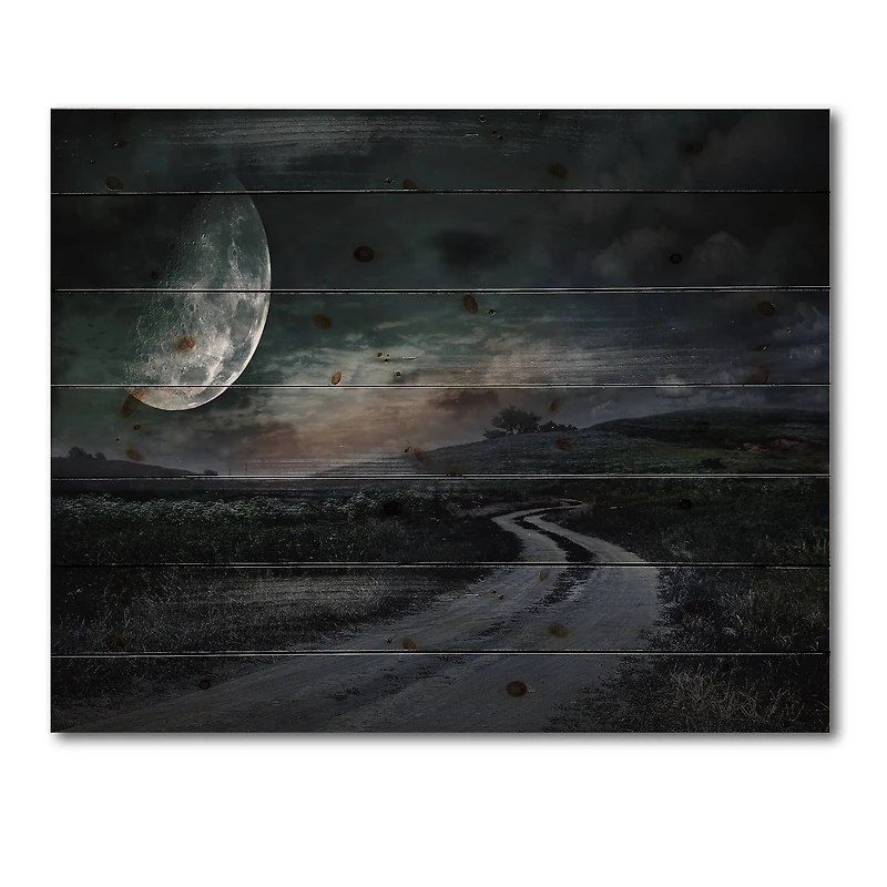 Designart - Rural Road Through The Meadow Under Full Moon