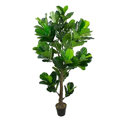 6ft. Dark Green Potted Fiddle Leaf Fig Tree