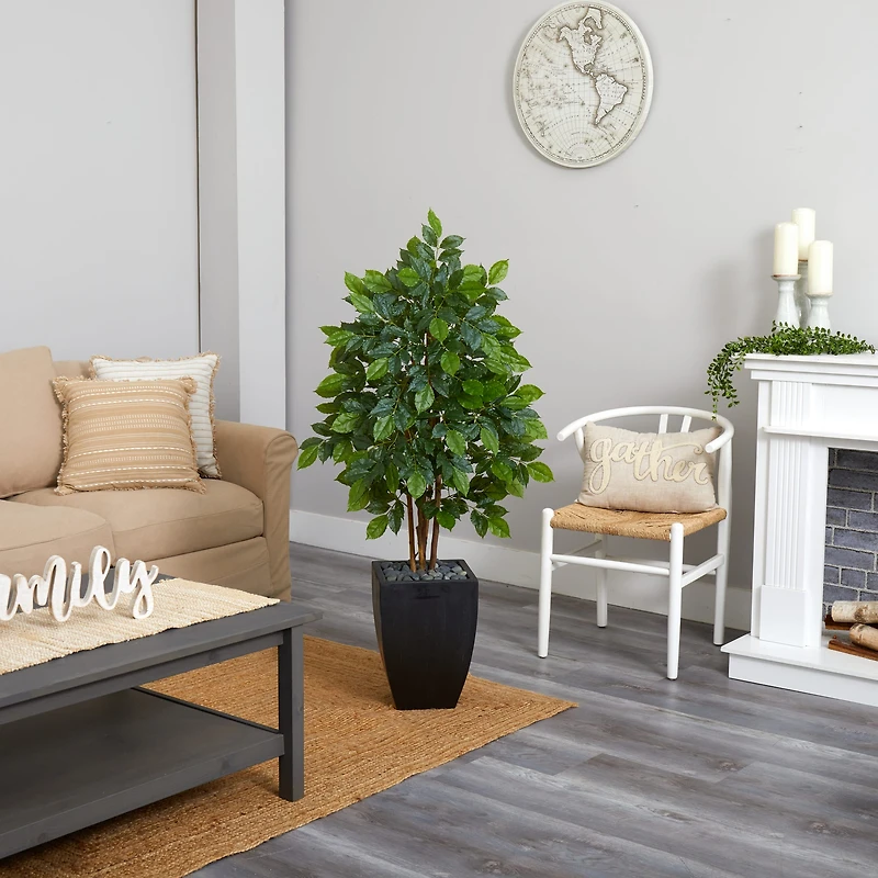 5ft. River Birch Tree in Black Planter