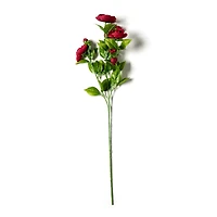 Burgundy Ranunculus Spray by Ashland®