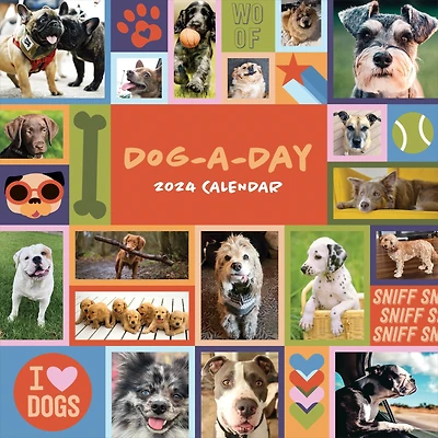 TF Publishing Dog-A-Day Wall Calendar