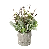 11" Lamb's Ear in Cement Pot