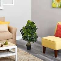3ft. Potted Umbrella Tree