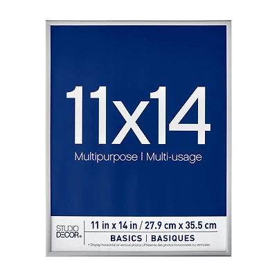 Basics Silver Multipurpose Frame by Studio Décor